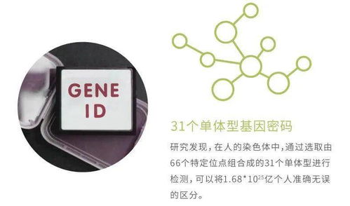 華大基因安馨可基因檢測系列產品全新上市，開啟精準健康管理新時代